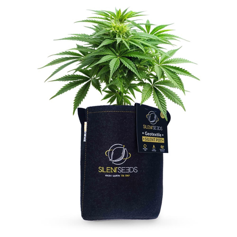 Silent Geotextile Pot Silent Seeds
