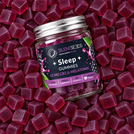 Gummies CB2 Sleep - Blackberry